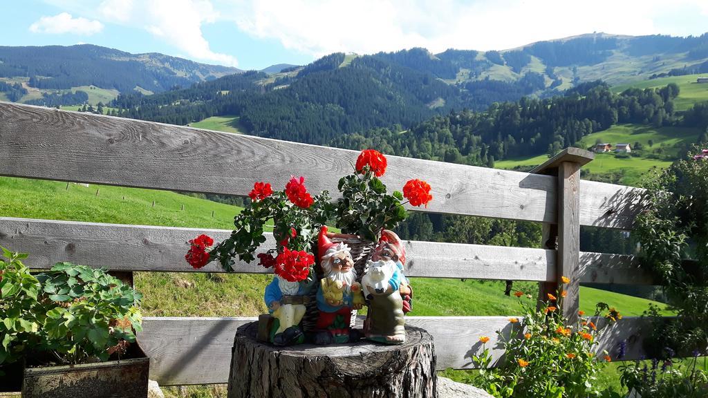 Bio-Bauernhof Hatzbauer Maria Alm am Steinernen Meer Dış mekan fotoğraf