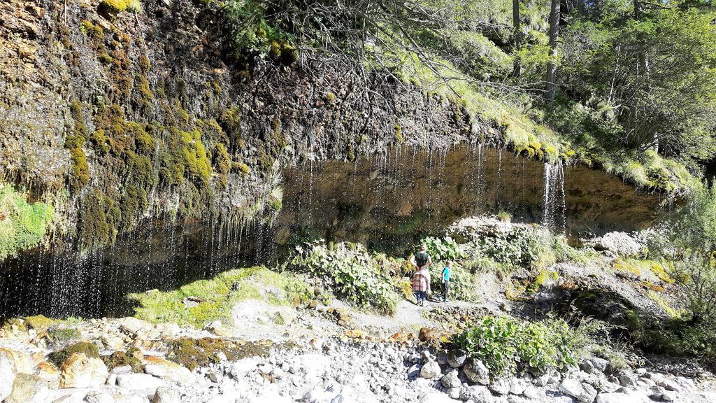 Bio-Bauernhof Hatzbauer Maria Alm am Steinernen Meer Dış mekan fotoğraf