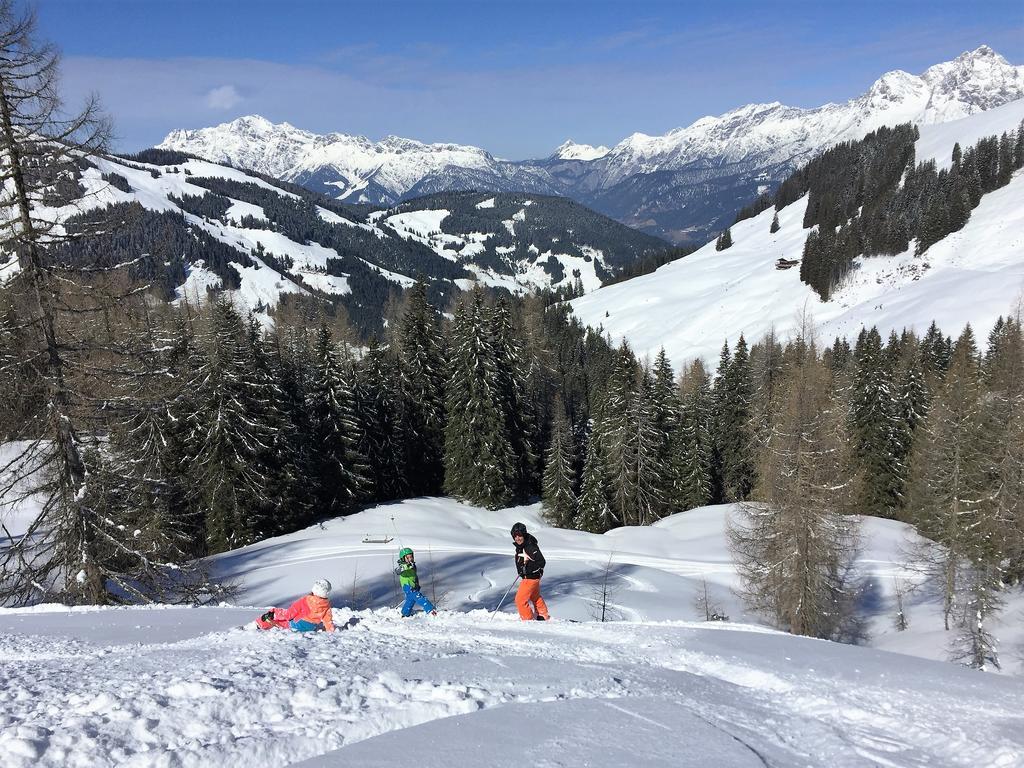 Bio-Bauernhof Hatzbauer Maria Alm am Steinernen Meer Dış mekan fotoğraf