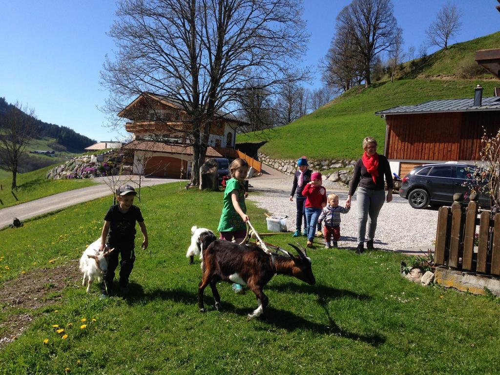Bio-Bauernhof Hatzbauer Maria Alm am Steinernen Meer Dış mekan fotoğraf