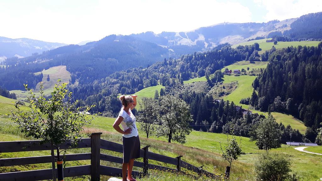 Bio-Bauernhof Hatzbauer Maria Alm am Steinernen Meer Dış mekan fotoğraf