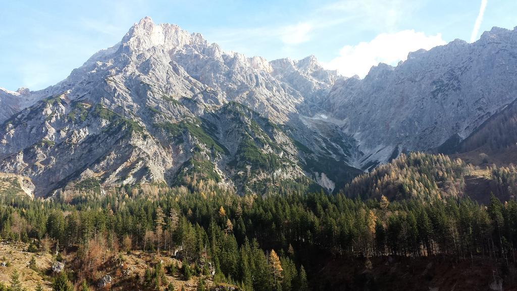 Bio-Bauernhof Hatzbauer Maria Alm am Steinernen Meer Dış mekan fotoğraf