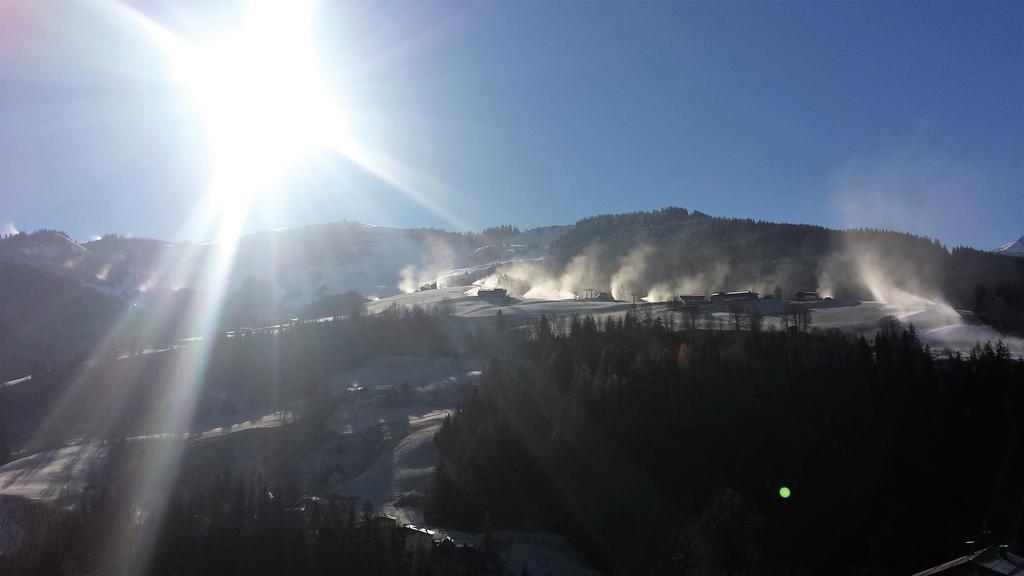 Bio-Bauernhof Hatzbauer Maria Alm am Steinernen Meer Dış mekan fotoğraf
